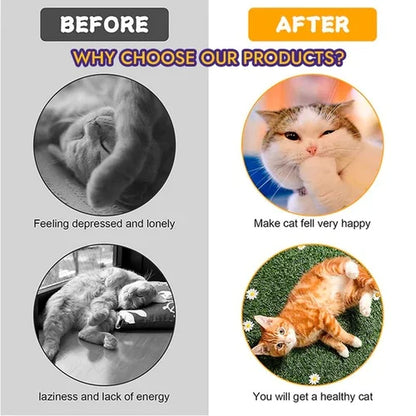 🐈Folded cat tunnel🔥Buy 2 Get 1 Free🔥